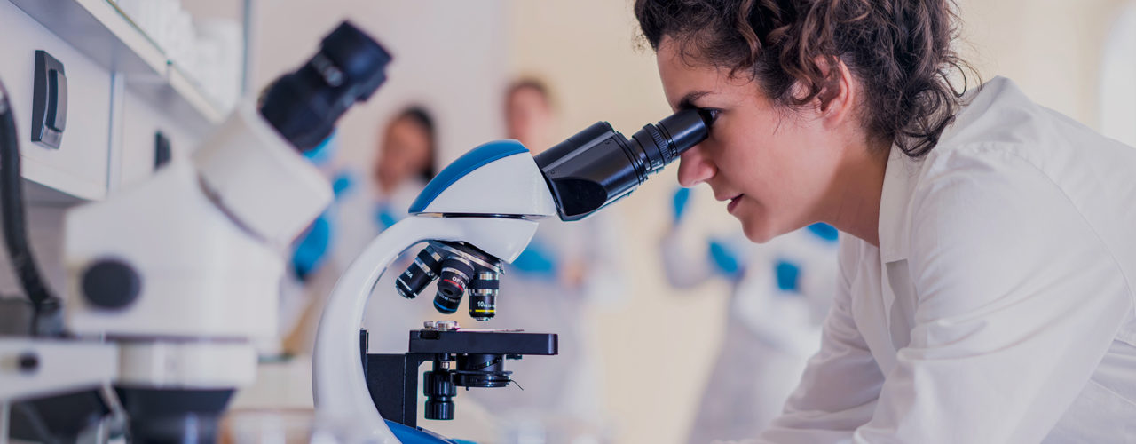 CatheterTestingServicesEquipment MSI